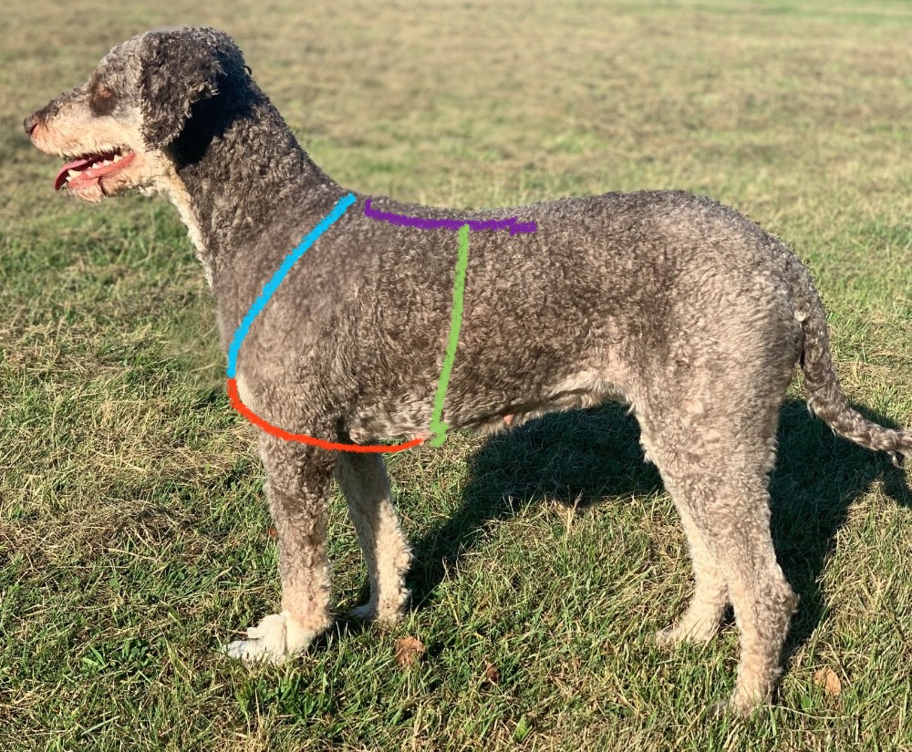 Khalessi-Messanleitung-bunt