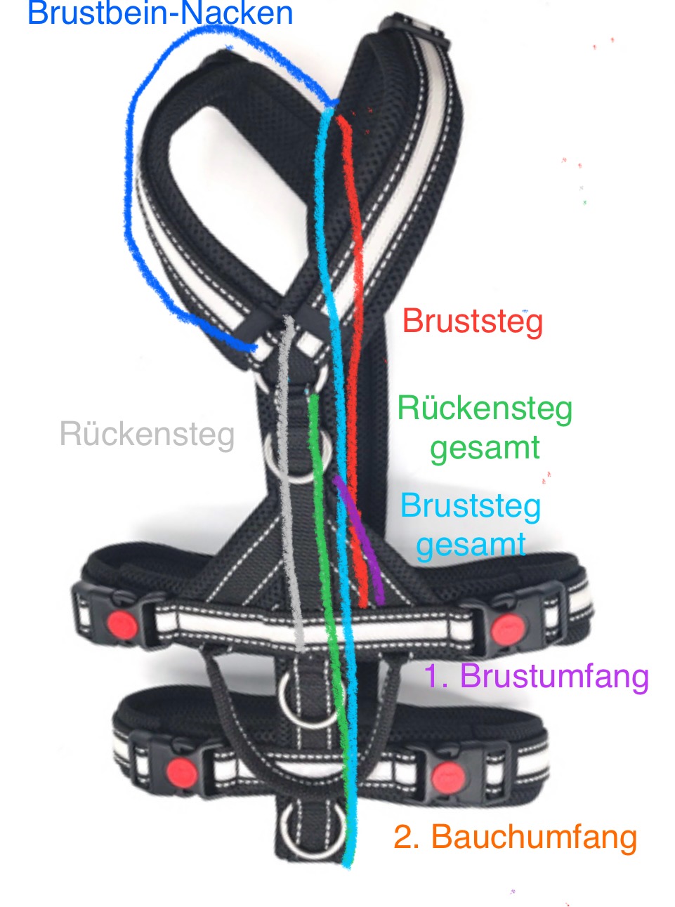 Sicherheitsgeschirr-Bezeichnungen
