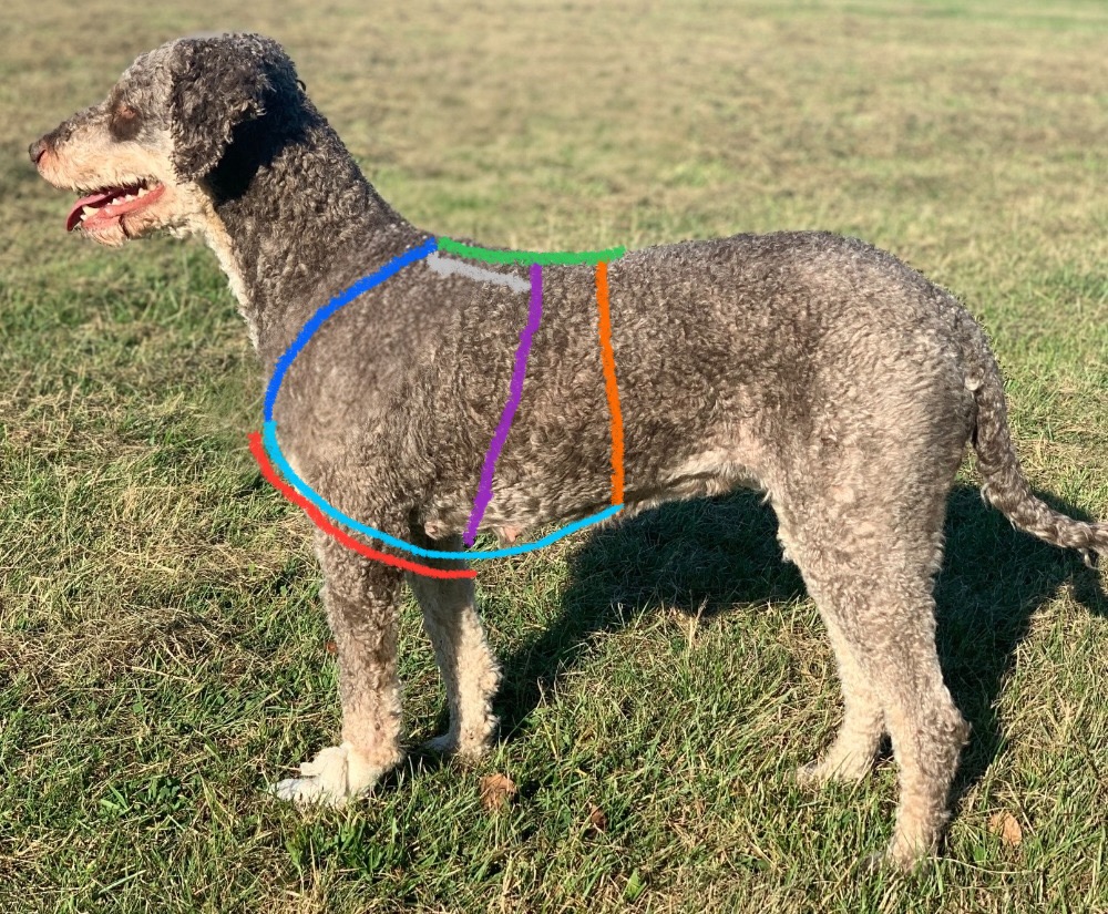 Sicherheitsgeschirr-Bund-Khaleesi