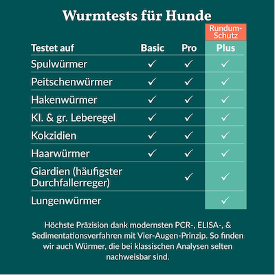 vetevo-wurmtests-fur-Hunde-Plus